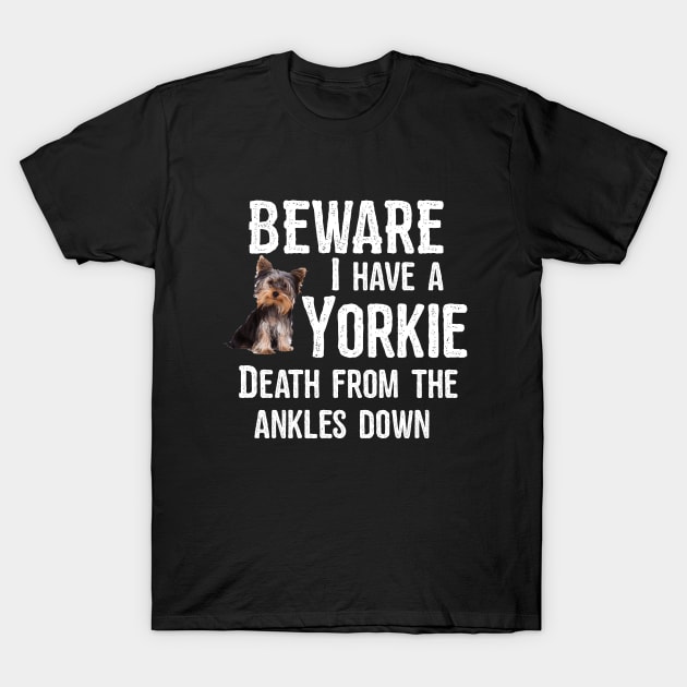 Yorkshire Terrier - Beware I Have A Yorkie T-Shirt by Kudostees